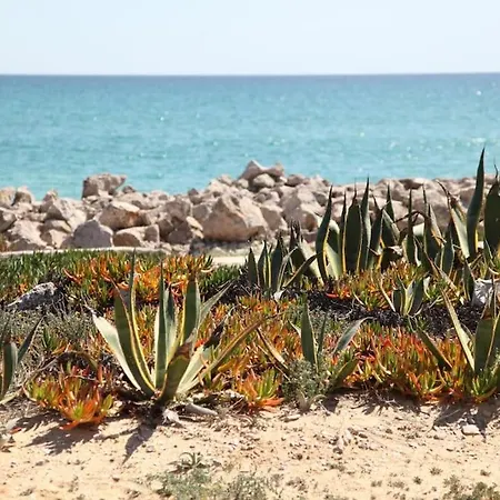 Amazing Apartment, With Pool, Close By Olhão