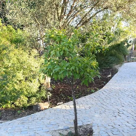 Amazing Apartment, With Pool, Close By Appartement Olhão