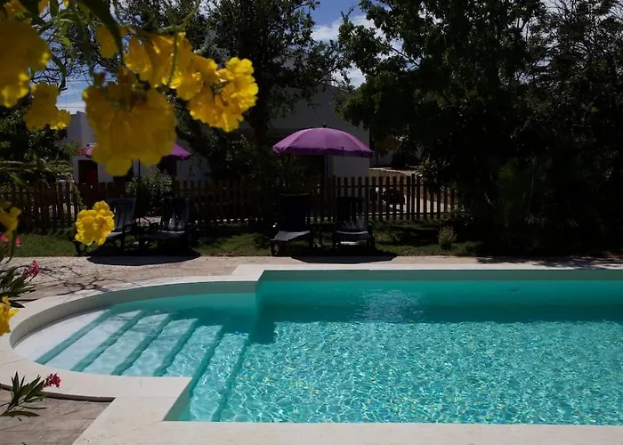 Amazing Apartment, With Pool, Close By Appartement *