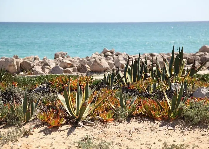 Amazing Apartment, With Pool, Close By Olhão