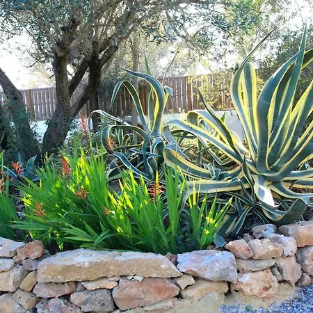 Amazing Apartment, With Pool, Close By Apartment