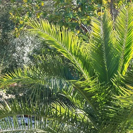 Amazing Apartment, With Pool, Close By *