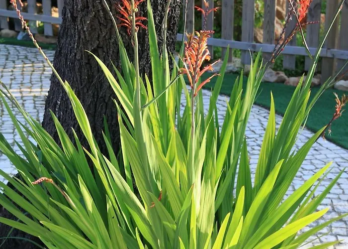 Amazing Apartment, With Pool, Close By *