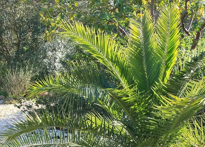 Amazing Apartment, With Pool, Close By *